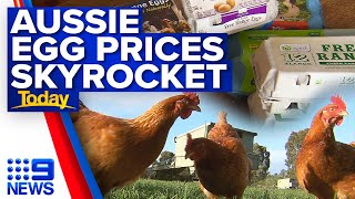 Supermarket shift to send price of Australian eggs soaring  9 News Australia [upl. by Llerrac48]