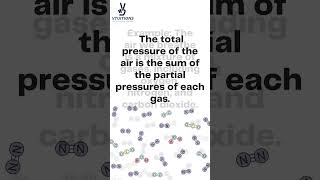 Daltons Law of Partial Pressures  Vtuitions DaltonsLaw PartialPressures GasBehavior Chemistry [upl. by Elianora]