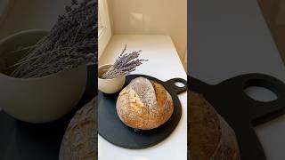 Baking Sourdough Bread from Scratch  Easy StepbyStep Guide [upl. by Smiga]