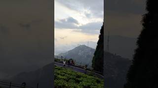 🏞️ Pahad tour Kurseong  Kurseong tour  Darjeeling Kurseong  shorts love nature youtubeshorts [upl. by Konyn95]