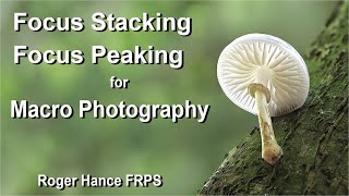 Focus Stacking and Focus Peaking for Macro Photography using the OM1 and the 90mm Macro lens [upl. by Clay]