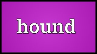 Hound Meaning [upl. by Cary]