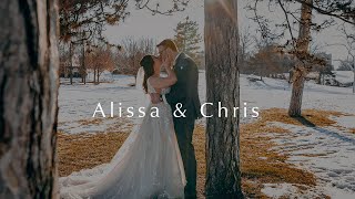 Alissa and Chris St Louis Wedding at Willow [upl. by Necaj]