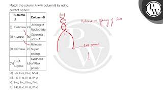 Match the column A with column B by using correct option\n\n\n\n\n\nColumnA\n\n\n\nColumnB\n\ [upl. by Nyram]