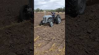 Ferguson TEF20 Tractor at NVTEC North Notts Group Working Day amp Ploughing Match 25th August 2024 [upl. by Michael]