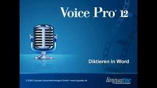 Voice Pro 12 Spracherkennung Druckreifes Diktieren in Word [upl. by Asirrac]