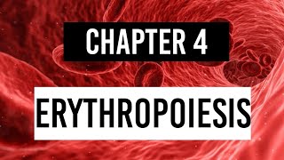 ERYTHROPOIESIS  Stages of erythropoiesis Physiology [upl. by Mcquillin385]