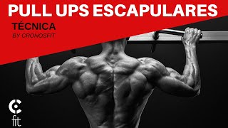 Dominadas Escapulares  Scapular Pull Ups [upl. by Nhguav]