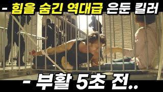 총 제작비 500억 자신을 배신한 조직을 단 하루 만에 쓸어버리는 세계랭킹 1위 은둔 킬러 영화리뷰 결말포함 [upl. by Kiel265]