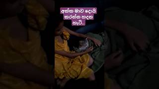 අක්කයි 👧මමයි 😺cat youtubeshorts [upl. by Fotina]