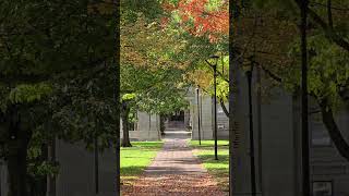 October Oberlin College Oberlin Ohio 2024 [upl. by Enirtak]