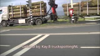 Boomstammen Transport Chris van der velden  Daf XF [upl. by Relly]