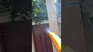 Bug 🐜 A Salt Shredder vs Wasp yotubeshorts shorts youtubeshort short [upl. by Spaulding575]