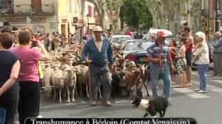 04  PROVENCE  Folklore Farandole et Fêtes provençales [upl. by Elleirbag]