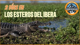 Esteros del Iberá que hacer en 3 días [upl. by Inavihs]