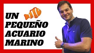 Cómo MONTAR Un Pequeño ACUARIO MARINO con un filtro Hydra® La Tecnología Sigue Avanzando🐠 [upl. by Nirrek]