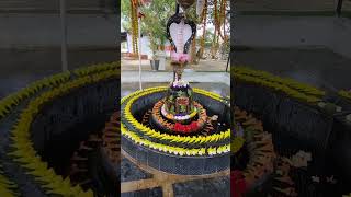 Jay Shiv Sambhu Maharaja  Jay Mere Bholenath  Jay ho mere Mahakal youtubeshorts status shots [upl. by Silber]