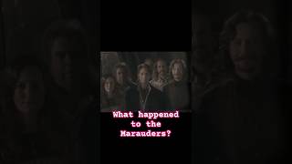 What happened to the Marauders harrypotter [upl. by Tnemelc]