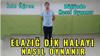 ELAZIĞ DİK HALAYI NASIL OYNANIR  Düğünde Nasıl Oynanır [upl. by Alul74]