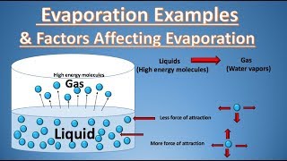 What is  Evaporation Definition  Examples amp Factors Affecting Evaporation  Rate of Evaporation [upl. by Rebmit435]