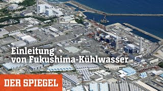 Einleitung von FukushimaKühlwasser »Ich bin dafür« – »Die Fischer tun mir leid«  DER SPIEGEL [upl. by Ayokahs]