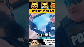 Cats out of the bag 🤣 catcollar california reels shortsfeed lol clips pulledover police [upl. by Kiraa]