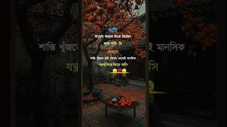 আমি মানুষটা কখনো কারো প্রিয়জন হতে পারি নি 😴 sad koster newmusic trending sorts viralvideo [upl. by Eniotna]