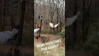 Bow hunting pheasants right out of the air archery wildlife bowhunting hunting nature fypシ゚ [upl. by Lanevuj]