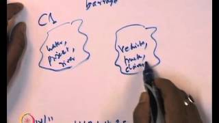 Mod01 Lec35 Word Sense Disambiguation Semi  Supervised and Unsupervised method [upl. by Lacombe]