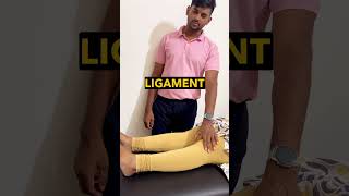 Knee pain assessment physiotheraphy physiotharapy physiotherapy physioterapy anatomy [upl. by Hartmann]