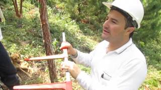 MEDICIONES FORESTALES USO DE FORCIPULA EN PLANTACIONES VEGACHI ANTIOQUIA COLOMBIA [upl. by Fortune459]