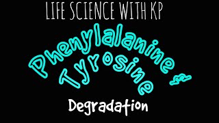 PHENYLALANINE ampTYROSINE DegradationVlog 11 [upl. by Haland]