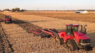 2 CaseIH Steiger Quadtracs and 875 rippers [upl. by Othilia]