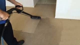 Canberra Carpet Cleaning [upl. by Winters]