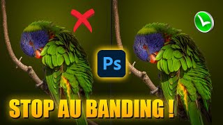 Comment SUPPRIMER le BANDING de vos PHOTOS [upl. by Alegnad764]