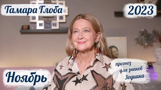 Тамара Глоба – астропрогноз на Ноябрь 2023 для знаков Зодиака [upl. by Natloz]