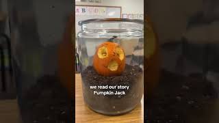 Pumpkin Jack Day 1  Pumpkin Jack Story and Experiment [upl. by Astrix609]