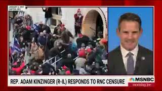 Rep Kinzinger On MSNBC RNC Censure “Legitimate Political Discourse” Threats to Democracy [upl. by Kilk54]