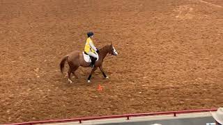 TX 4H District 8 Horse Judging Competition 4222  Class 2 Hunt Seat Equitation [upl. by Allebasi]