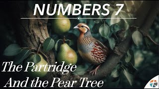 The Partridge and the Pear Tree  Numbers 7 [upl. by Dimphia895]