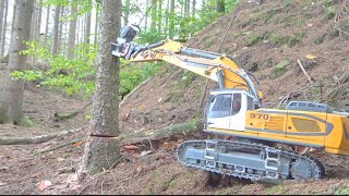 RC MEGA MACHINES IN ACTION STRONG RC IN THE WOODS [upl. by Brodsky]