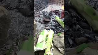 🪴 Yucca How To Process Prepare and Cook [upl. by Harraf287]