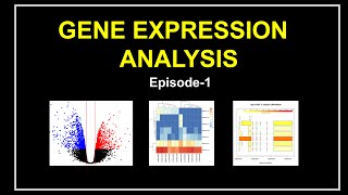 How I analyze RNA Seq data using HISAT2  SAMTOOLS  STRINGTIE BALLGOWN amp R [upl. by Iorio]