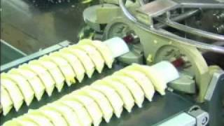 餃子成形機 Gyoza making machine AD10 [upl. by Eceeryt]