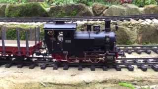 Regner quotElsequot Live Steam Gauge 1 Live steam on the FFLRR [upl. by Fortunia]