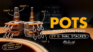 Guitar Potentiometers EP14 Dual Stacked [upl. by Scully513]