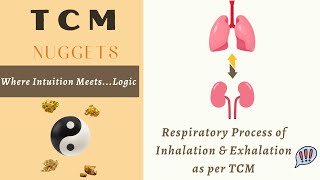 TCM Nuggets  Respiratory Process of Inhalation and Exhalation as per TCM [upl. by Willman884]