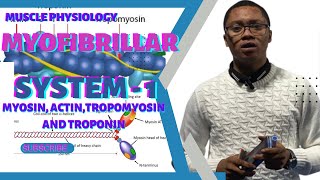 Myofibrillar System  Myofilaments Actin Myosin Tropomyosin amp Troponin [upl. by Liss]