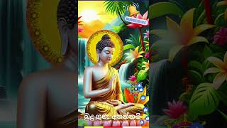 නෙතට කදුළු උණන සංවේදී කවි පෙළ Kavi Bana [upl. by Erapsag]