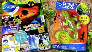 Galileo Genial 923 mit Gummi Gecko  Taggecko  Fakten zu Geckos  Giftige Tiere  GruselWitze [upl. by Gorga]